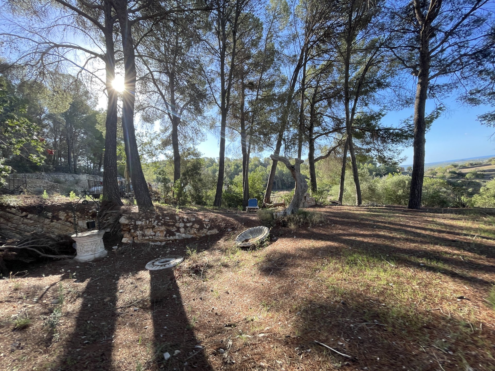 Finca in Calvia, Mallorca, Spain 1 bedroom, 60 sq.m. No. 138612
