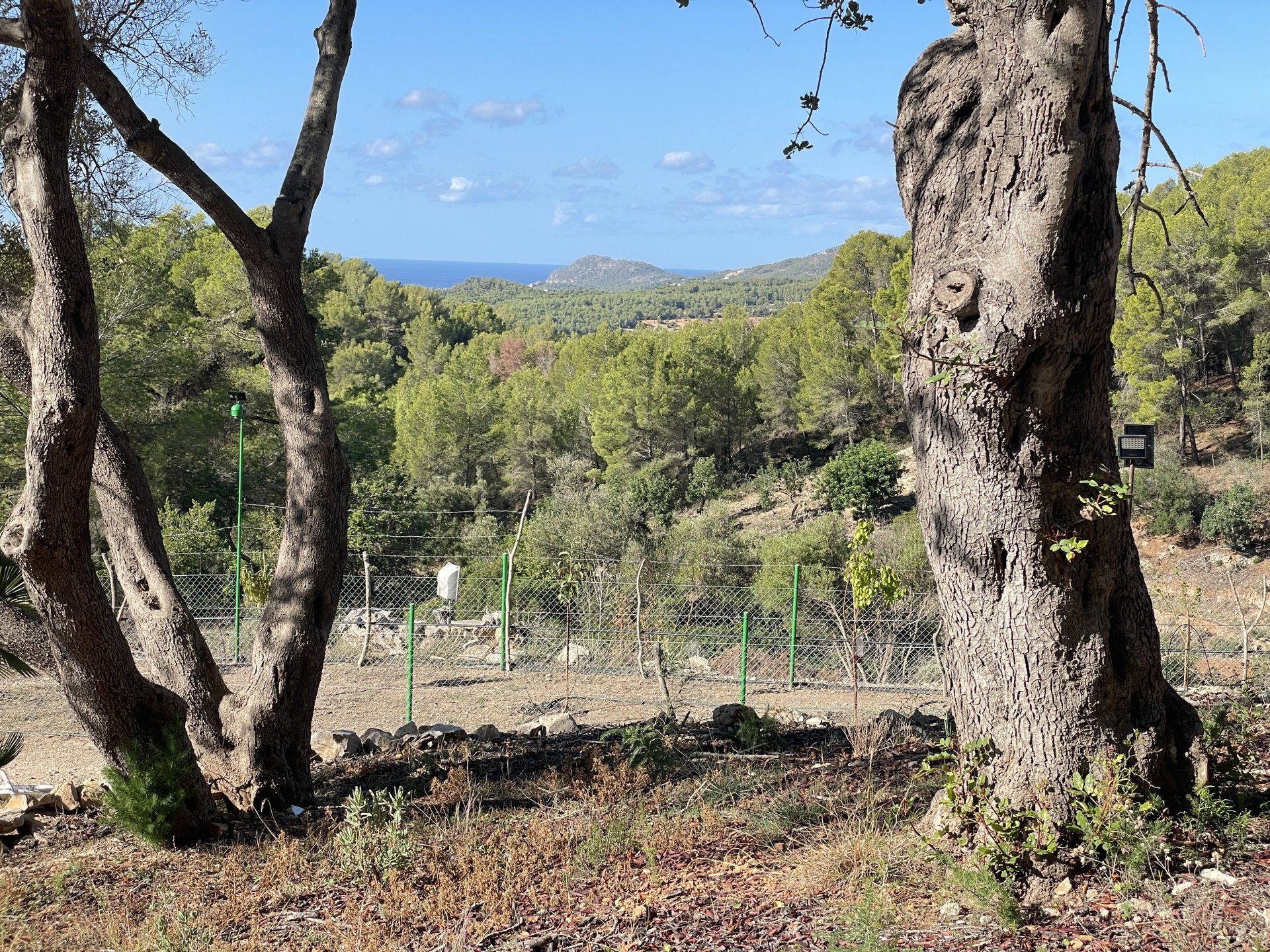 Finca in Calvia, Mallorca, Spain 1 bedroom, 60 sq.m. No. 138612