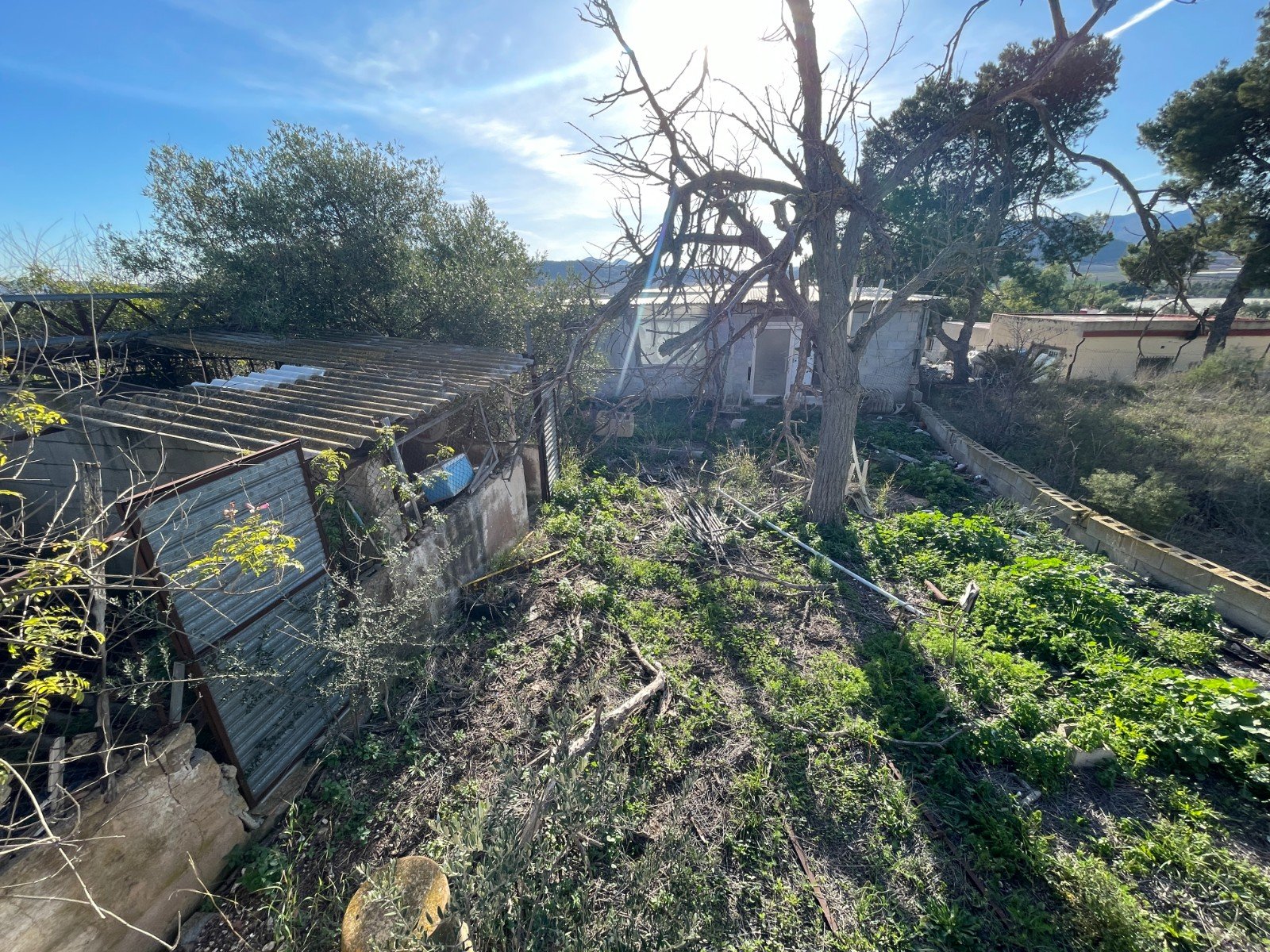 Finca i Aspe, Alicante, Spanien 3 sovrum, 155 kvm. Nr. 149987