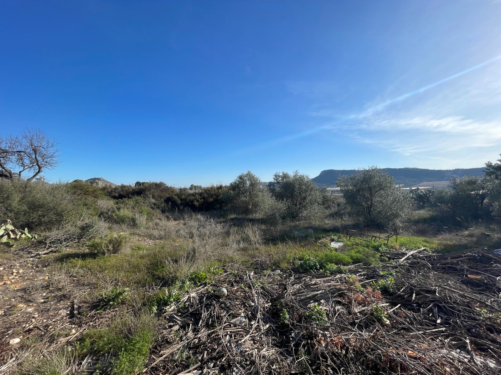Finca i Aspe, Alicante, Spanien 3 sovrum, 155 kvm. Nr. 149987