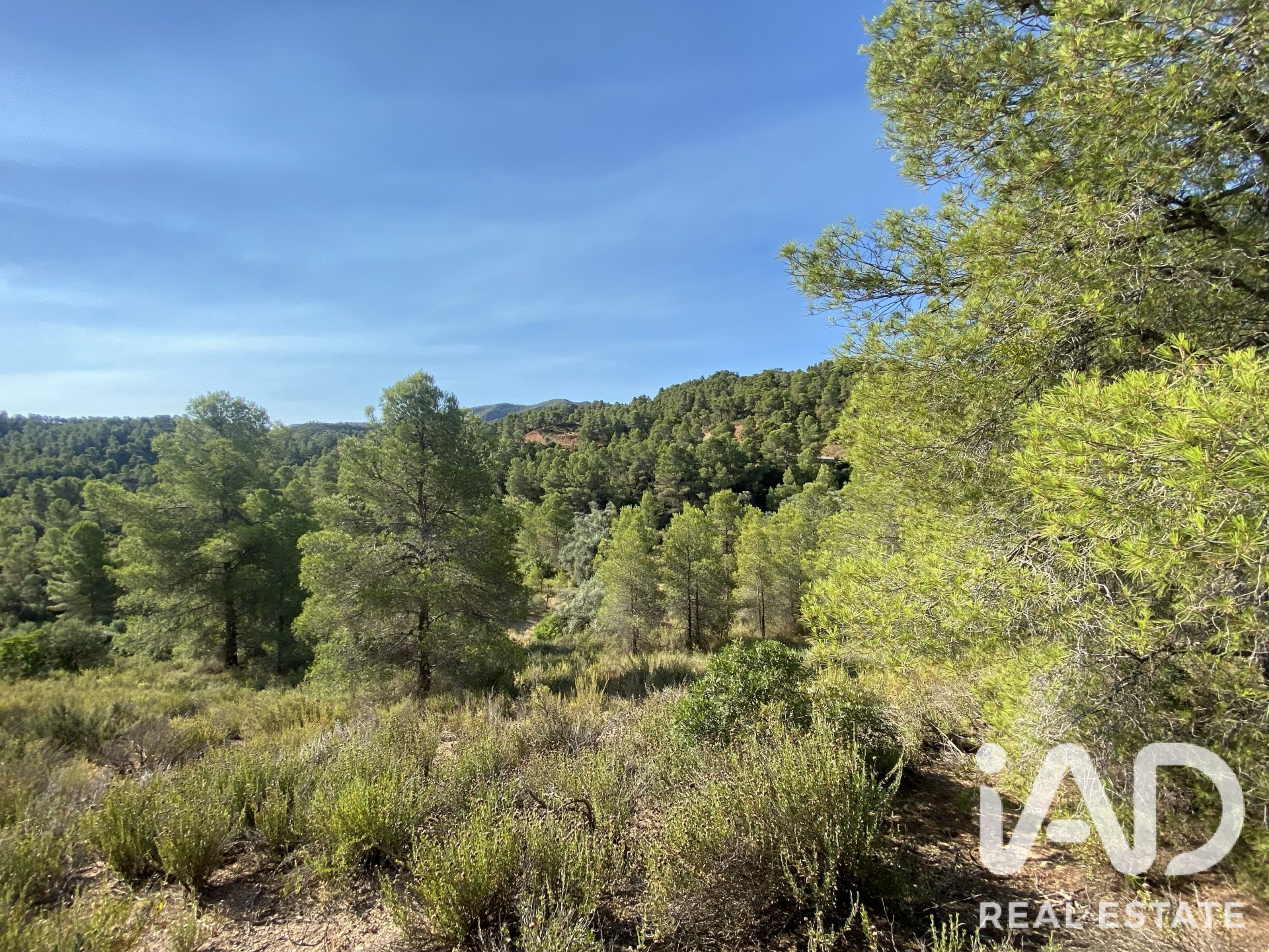 Land plot in Asco, Tarragona, Spain 254243 sq.m. No. 187838