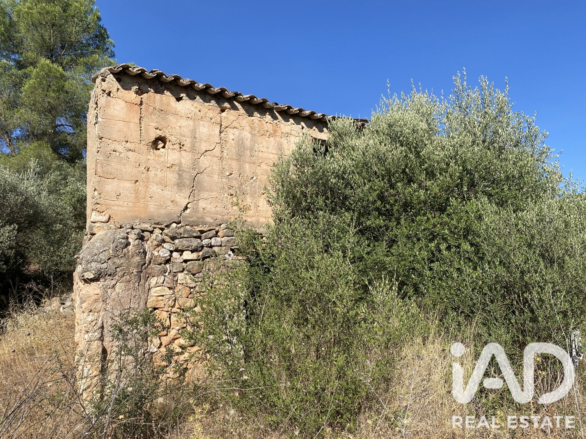 Land plot in Asco, Tarragona, Spain 254243 sq.m. No. 187838