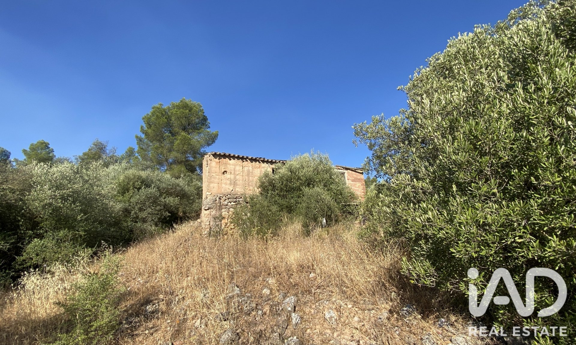 Land plot in Asco, Tarragona, Spain 254243 sq.m. No. 187838