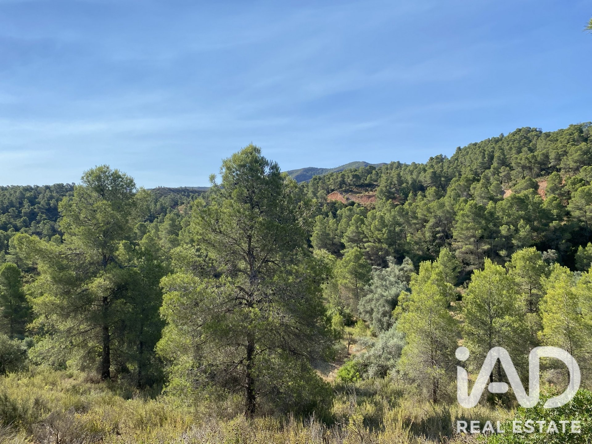Land plot in Asco, Tarragona, Spain 254243 sq.m. No. 187838