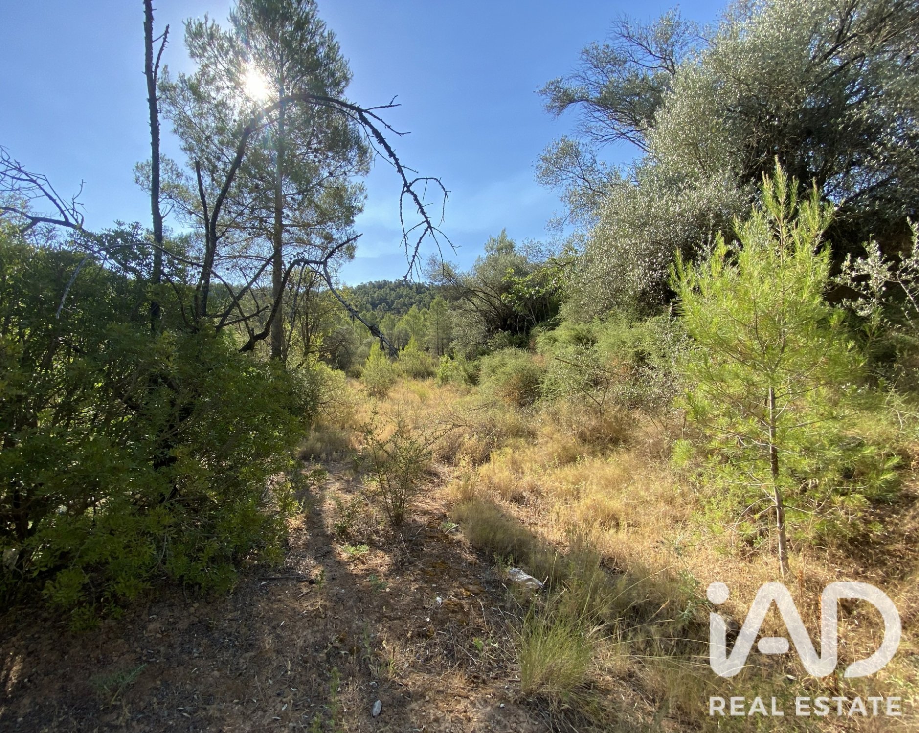 Land plot in Asco, Tarragona, Spain 254243 sq.m. No. 187838