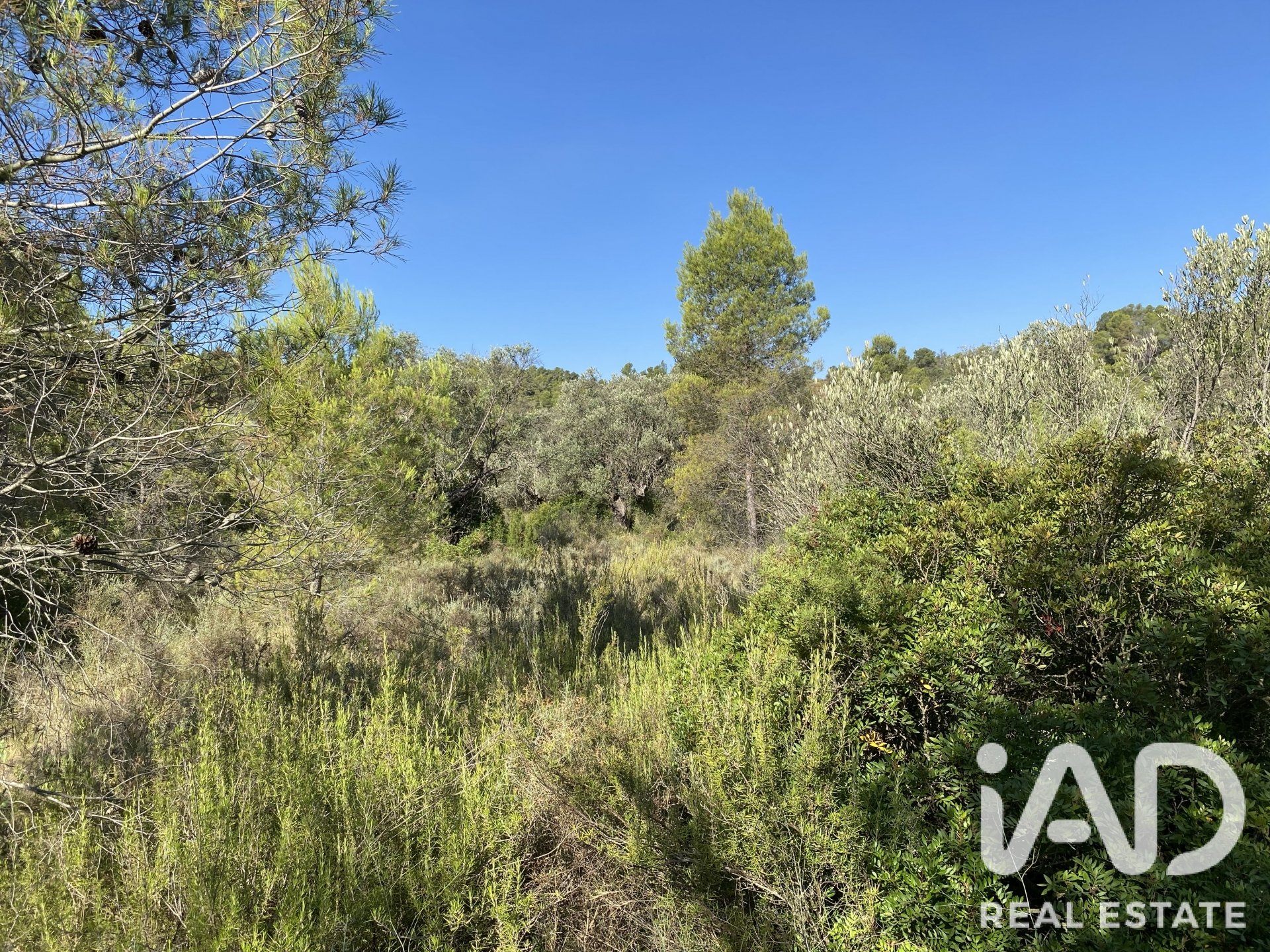 Land plot in Asco, Tarragona, Spain 254243 sq.m. No. 187838