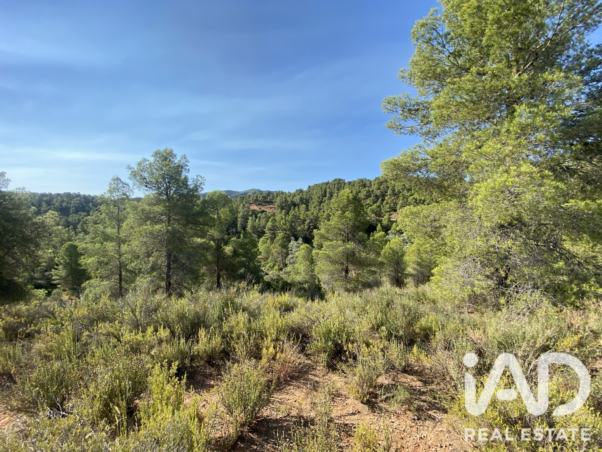 Land plot in Asco, Tarragona, Spain 254243 sq.m. No. 187838