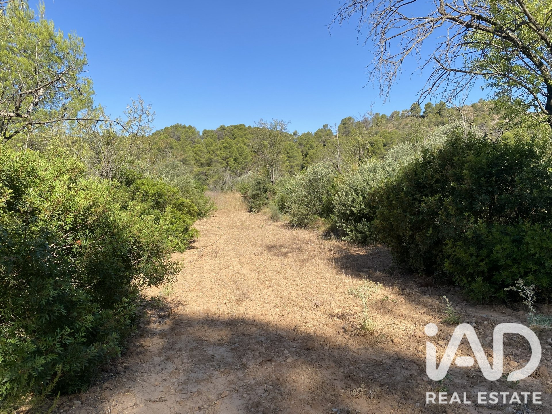 Land plot in Asco, Tarragona, Spain 254243 sq.m. No. 187838