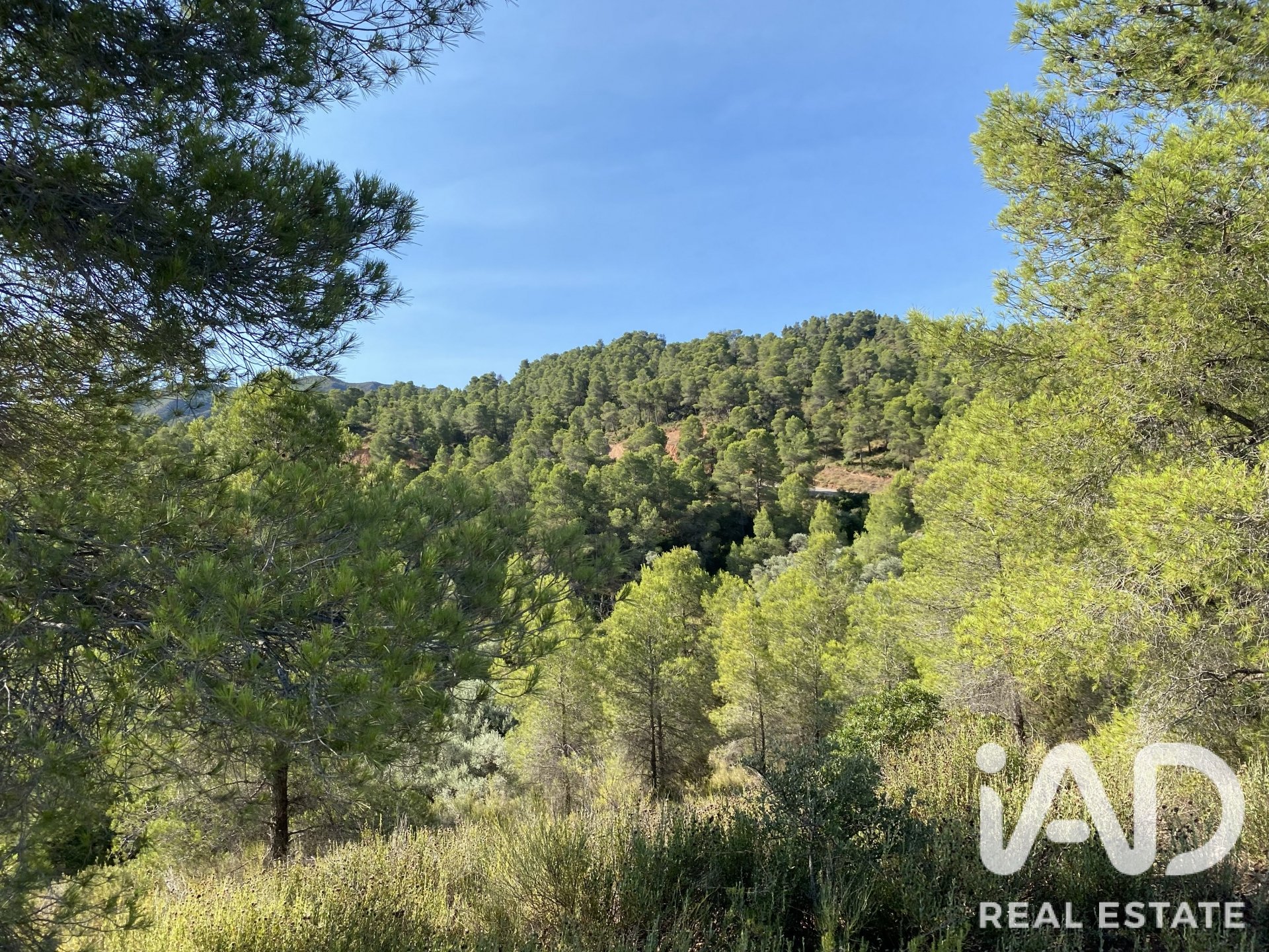 Land plot in Asco, Tarragona, Spain 254243 sq.m. No. 187838