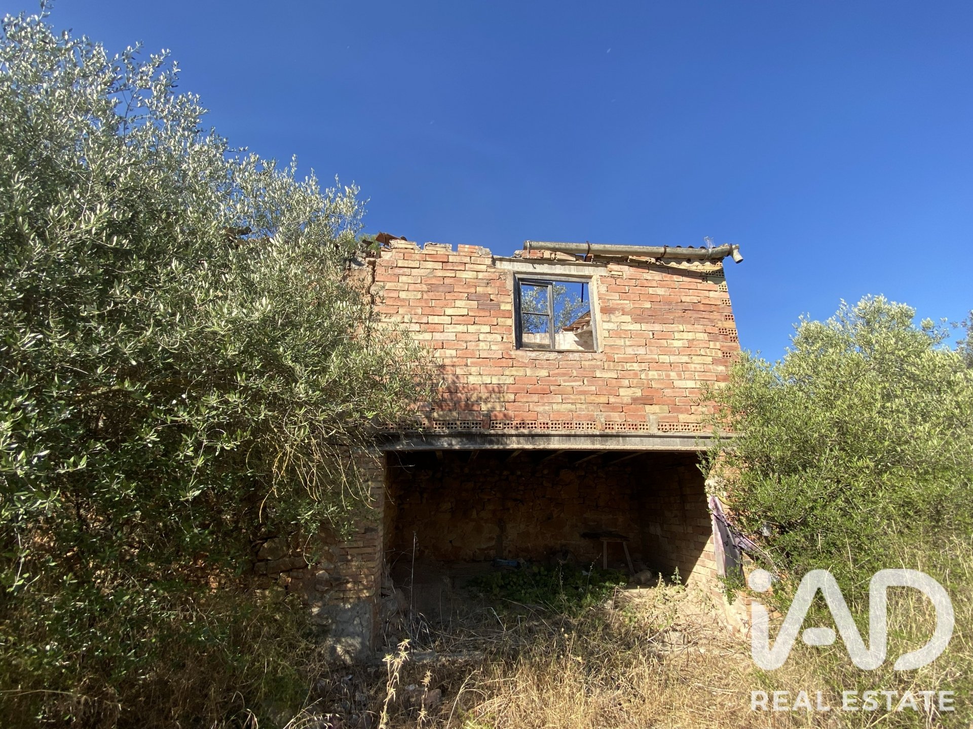 Land plot in Asco, Tarragona, Spain 254243 sq.m. No. 187838
