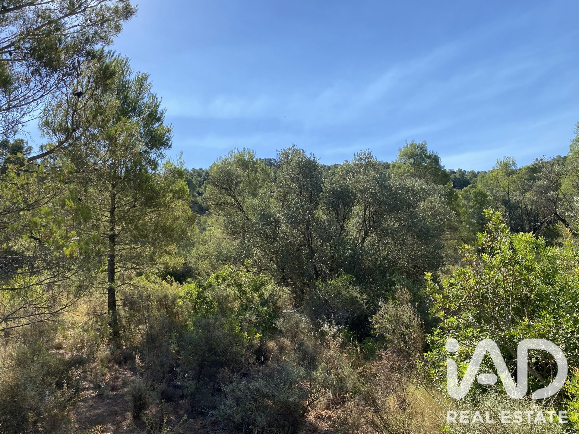 Land plot in Asco, Tarragona, Spain 254243 sq.m. No. 187838