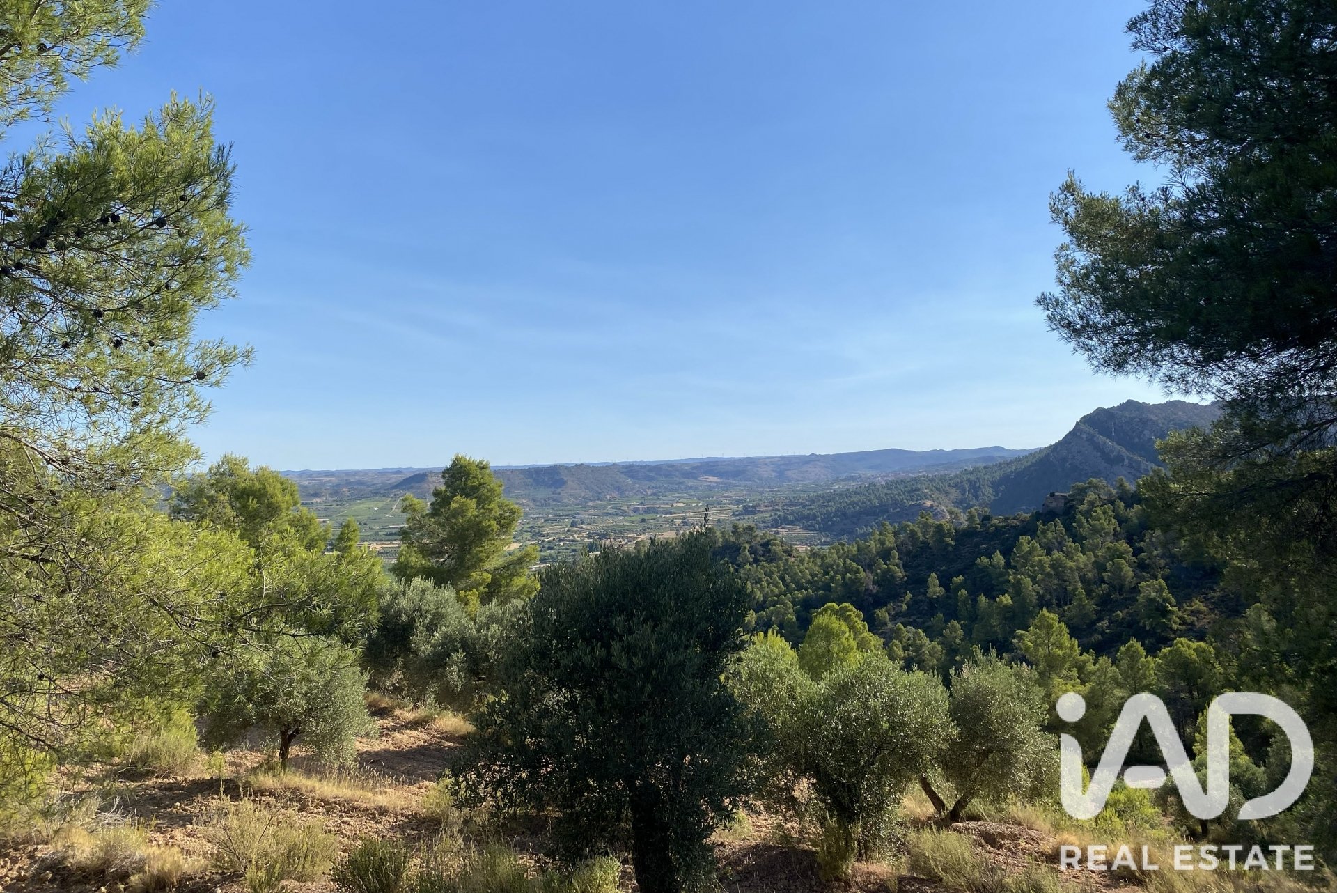 Land plot in Asco, Tarragona, Spain 254243 sq.m. No. 187838
