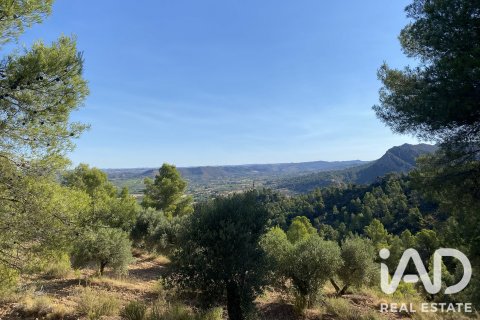 Zemes gabals Asco, Tarragona, Spānijā 254243 m2 Nr. 187838