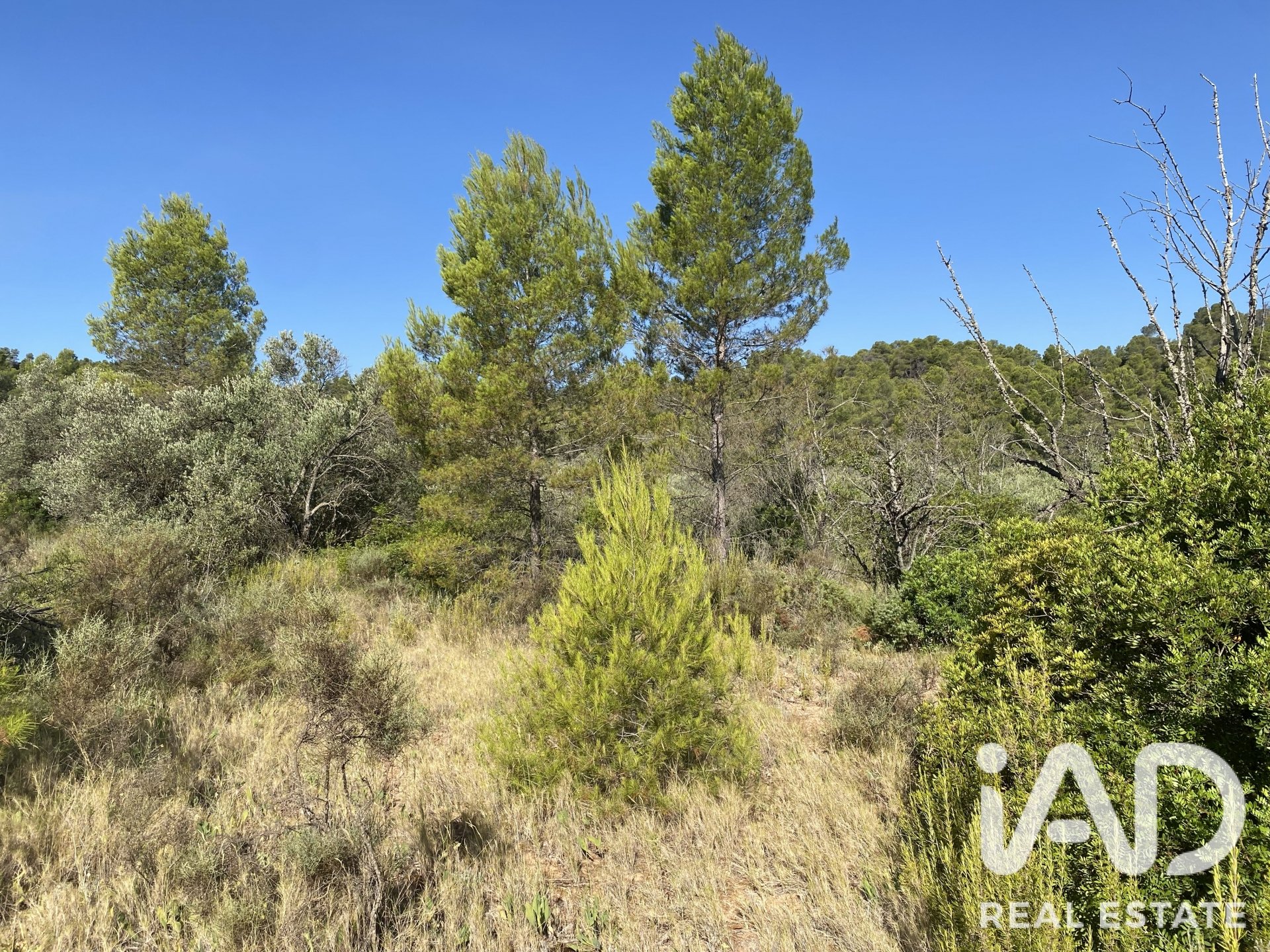Land plot in Asco, Tarragona, Spain 254243 sq.m. No. 187838