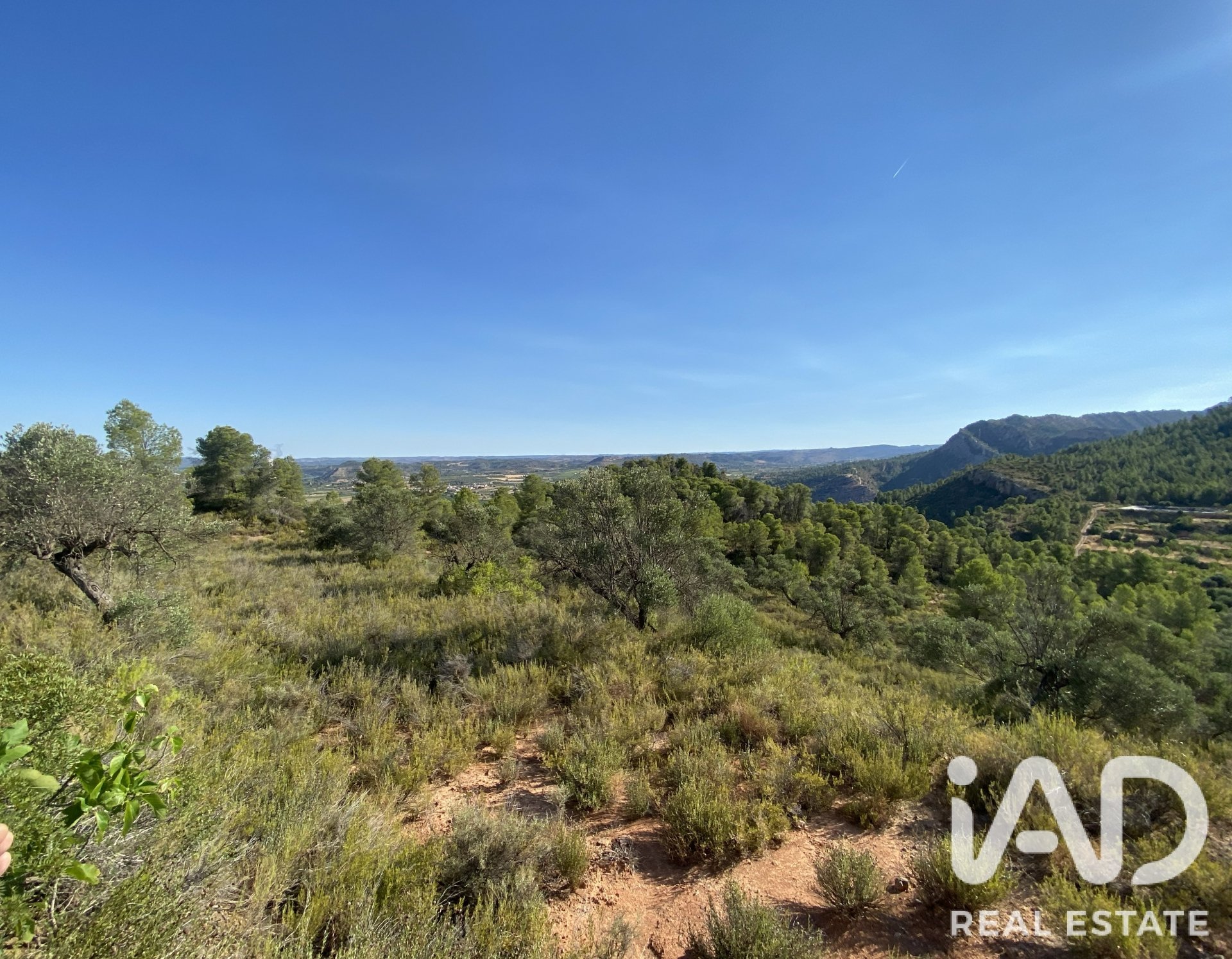 Land plot in Asco, Tarragona, Spain 254243 sq.m. No. 187838