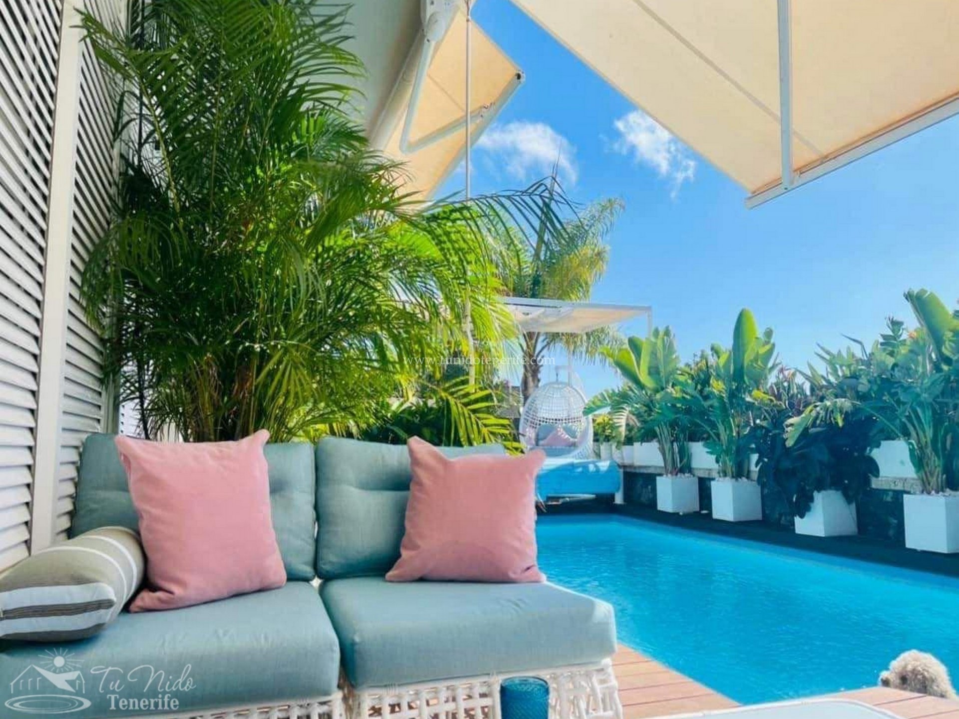 Villa a Torviscas, Tenerife, Spagna 4 camere da letto, 180 mq. N° 66610