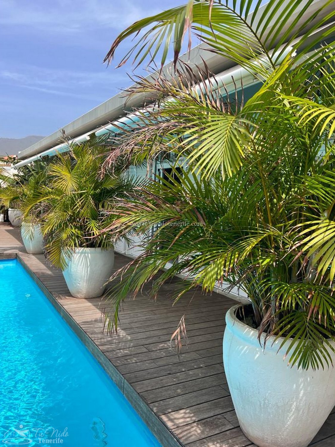 Villa a Torviscas, Tenerife, Spagna 4 camere da letto, 180 mq. N° 66610