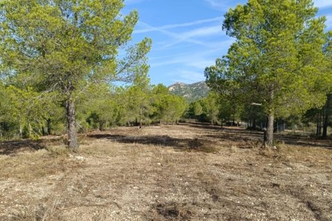 Land plot in L'Ametlla de Mar, Tarragona, Spain 15000 sq.m. No. 152969