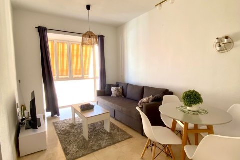 Apartament w Malaga, Hiszpania 1 sypialnia, 55 mkw. nr 152970