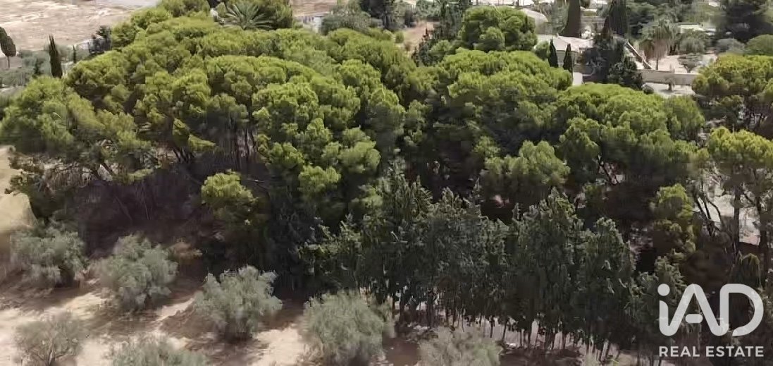 House in Alicante, Spain 12 bedrooms, 478 sq.m. No. 187661