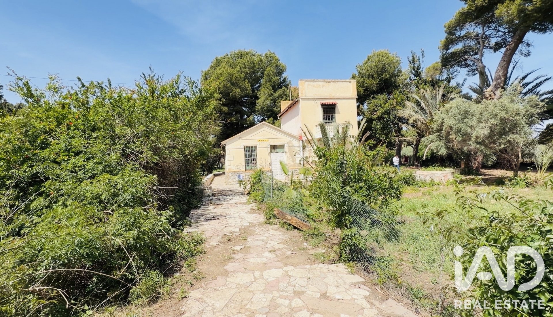 House in Alicante, Spain 12 bedrooms, 478 sq.m. No. 187661