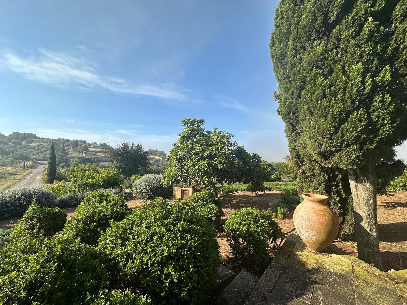 Finca Lloret De Vistalegre, Mallorca, Spānijā 5 istabas, 549 m2 Nr. 164443