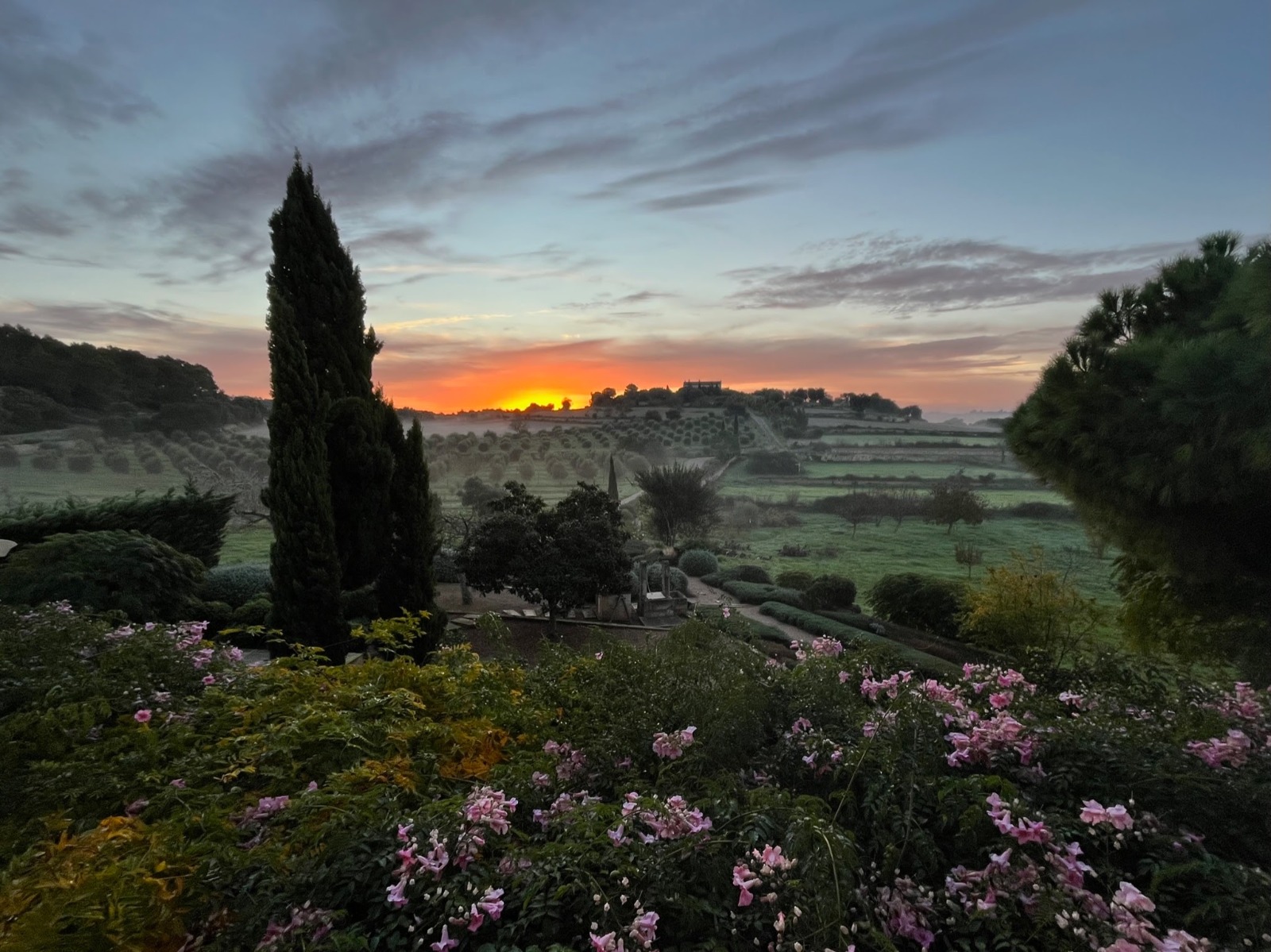 Finca Lloret De Vistalegre, Mallorca, Spānijā 5 istabas, 549 m2 Nr. 164443
