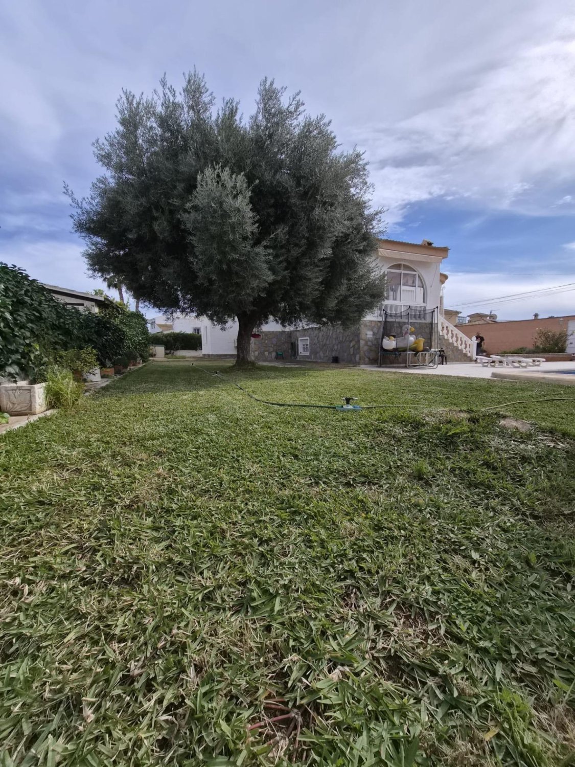 Villa i El Chaparral, Alicante, Spanien 4 sovrum, 220 kvm. Nr. 164446