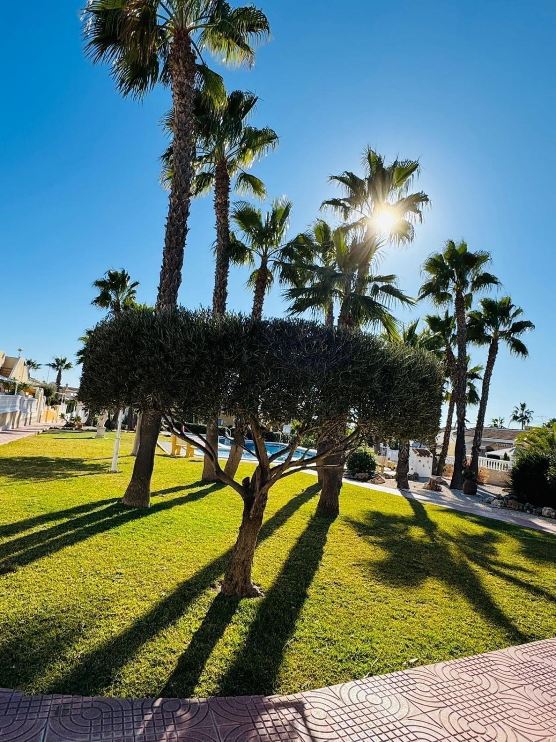 Talo Rojales, Alicante, Espanja 3 makuuhuonetta, 110 m2 No. 160643