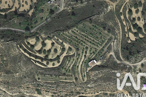 Komerciāls īpašums Riba-roja d'Ebre, Tarragona, Spānijā Nr. 185816