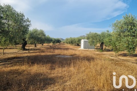 Zemes gabals Ginestar, Tarragona, Spānijā 6093 m2 Nr. 185815