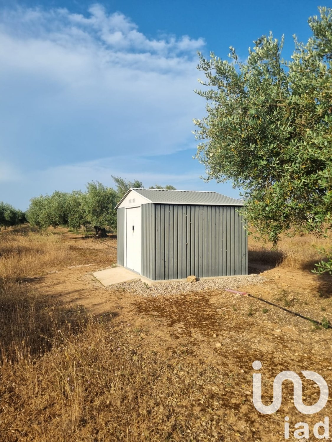 Zemes gabals Ginestar, Tarragona, Spānijā 6093 m2 Nr. 185815