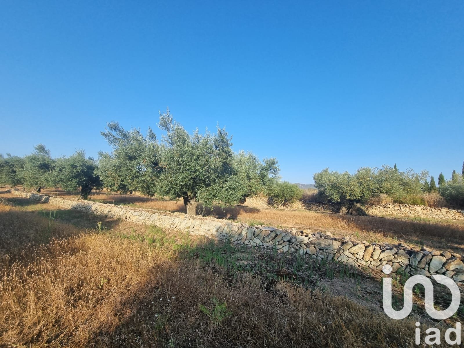 Zemes gabals Ginestar, Tarragona, Spānijā 6093 m2 Nr. 185815