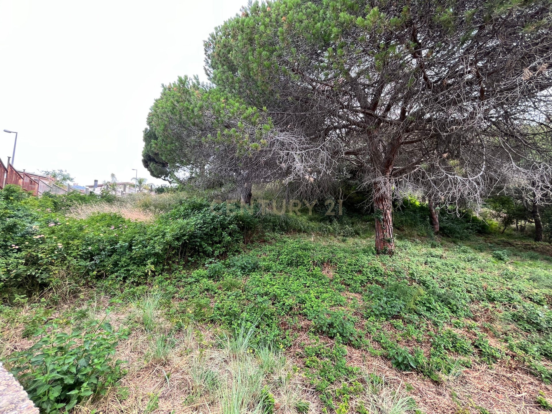 Zemes gabals Mataro, Barcelona, Spānijā Nr. 173980