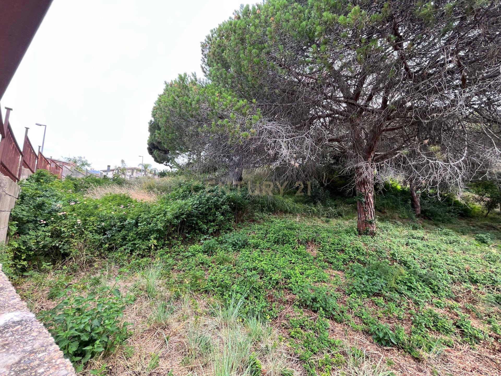 Zemes gabals Mataro, Barcelona, Spānijā Nr. 173980