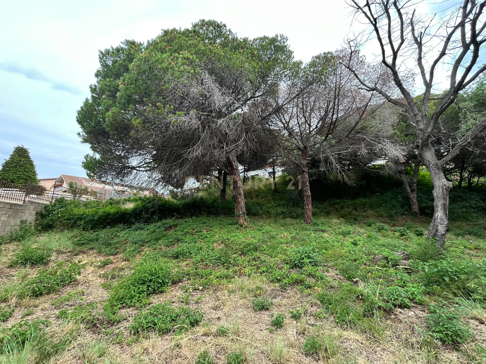 Zemes gabals Mataro, Barcelona, Spānijā Nr. 173980