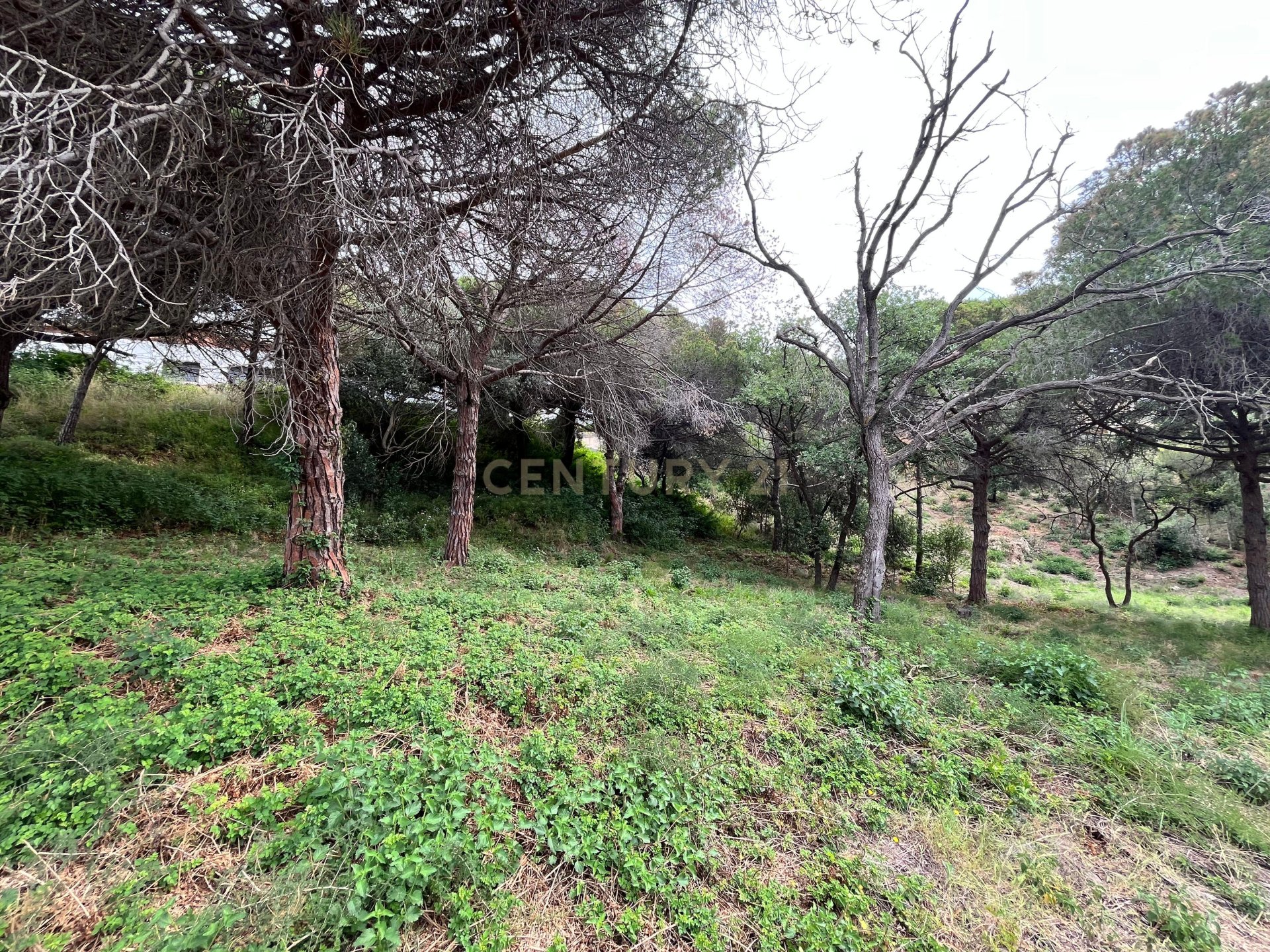 Zemes gabals Mataro, Barcelona, Spānijā Nr. 173980