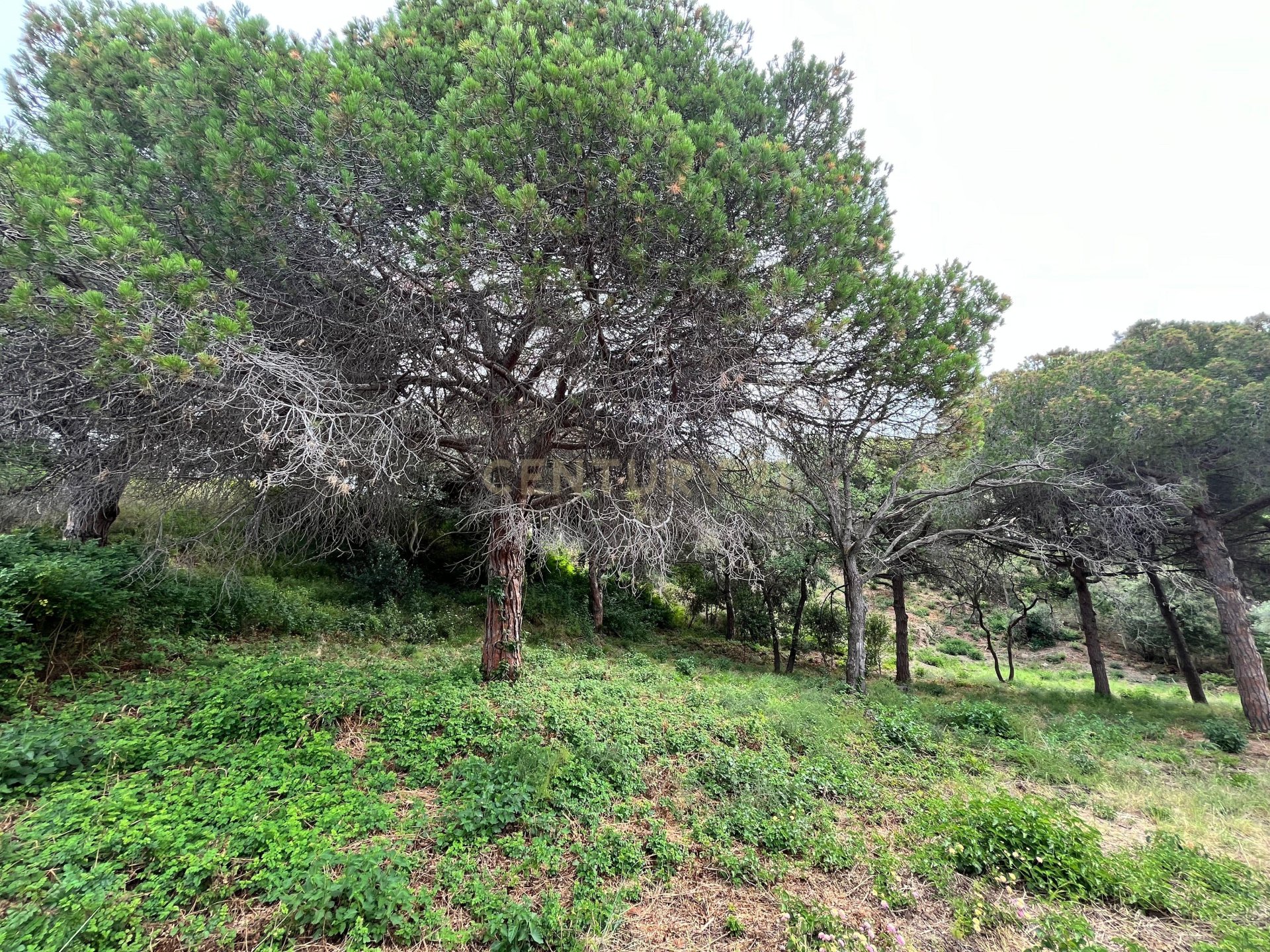 Zemes gabals Mataro, Barcelona, Spānijā Nr. 173980