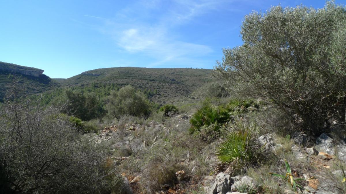 Działka w Benigembla, Alicante, Hiszpania nr 183875