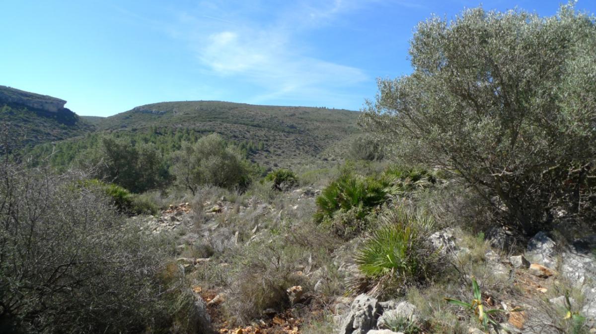 Działka w Benigembla, Alicante, Hiszpania nr 183875