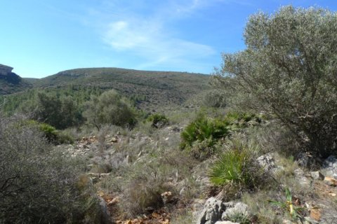Land plot in Benigembla, Alicante, Spain No. 183875