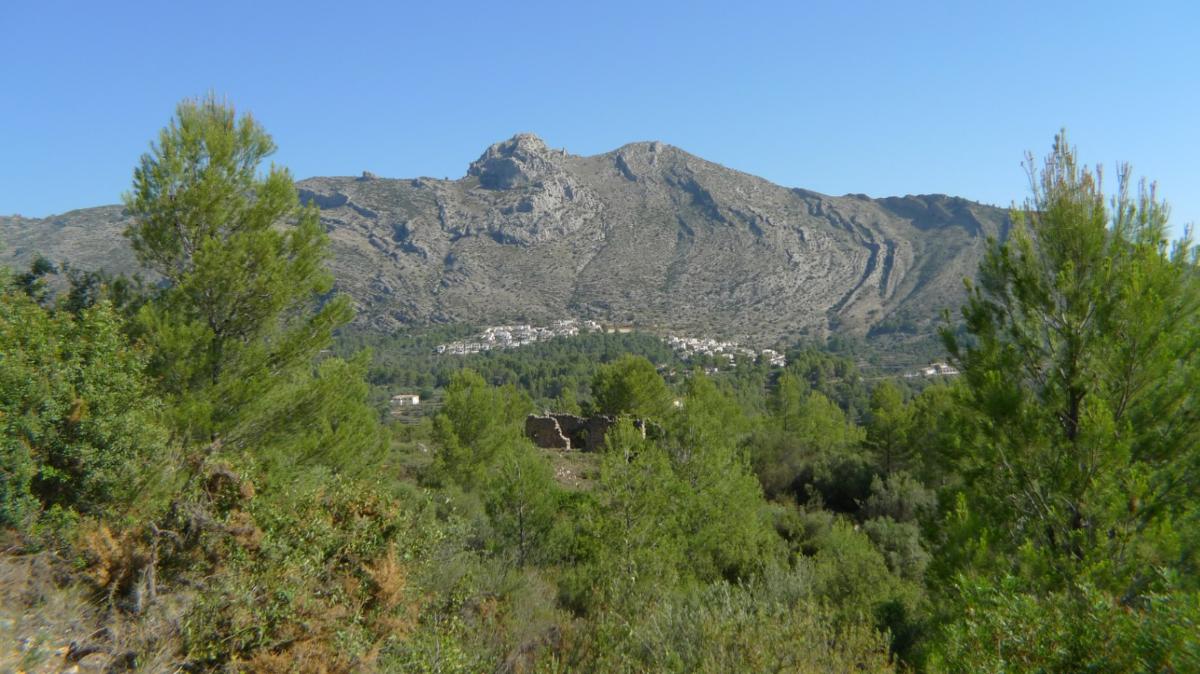 Działka w Benigembla, Alicante, Hiszpania nr 183875