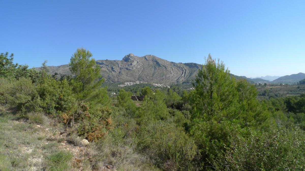 Działka w Benigembla, Alicante, Hiszpania nr 183875