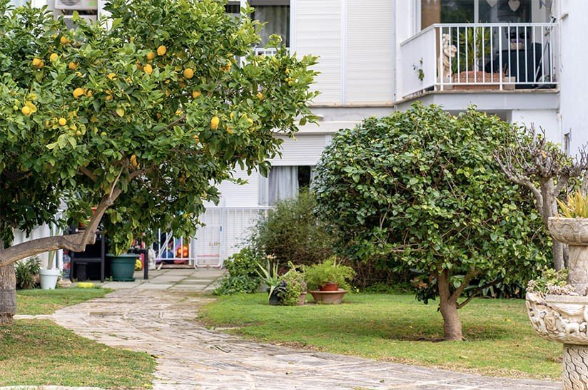 Lägenhet i Santa Ponsa, Mallorca, Spanien 2 sovrum, 70 kvm. Nr. 154666