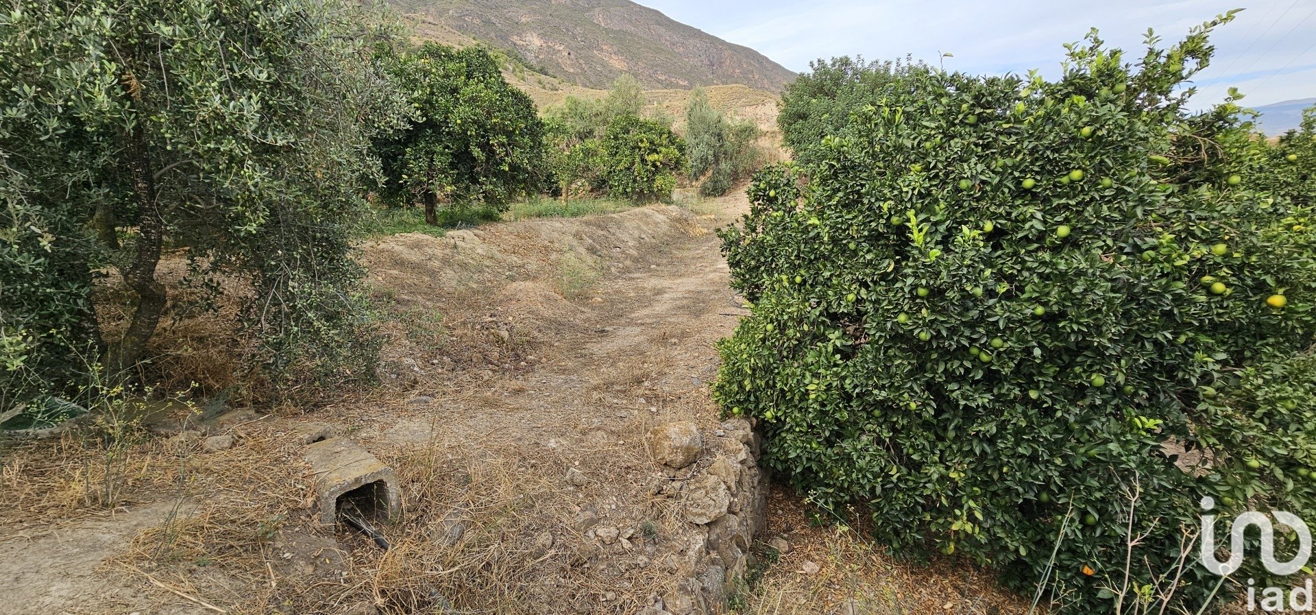 Liikekiinteistö Illar, Almeria, Espanja No. 185671