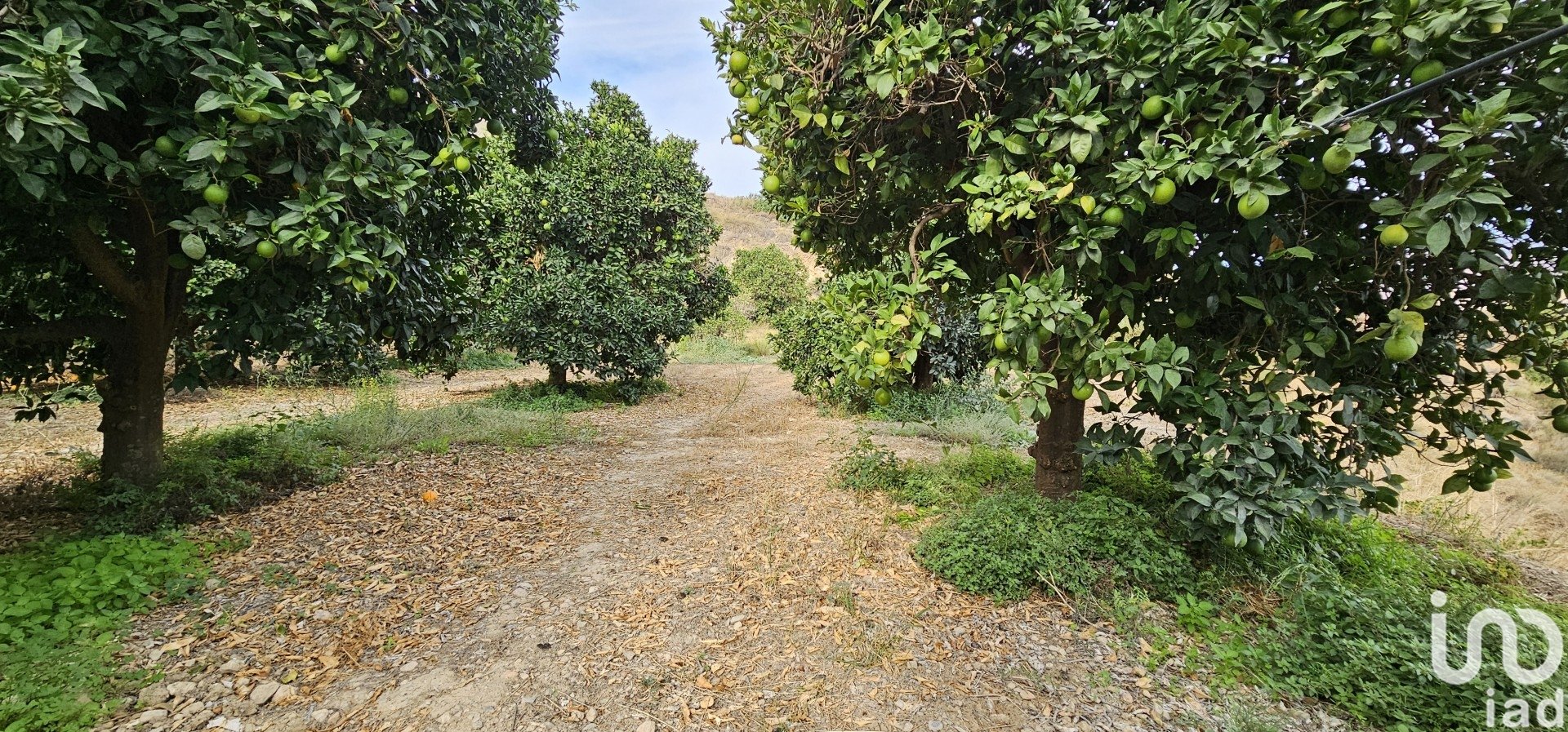Liikekiinteistö Illar, Almeria, Espanja No. 185671