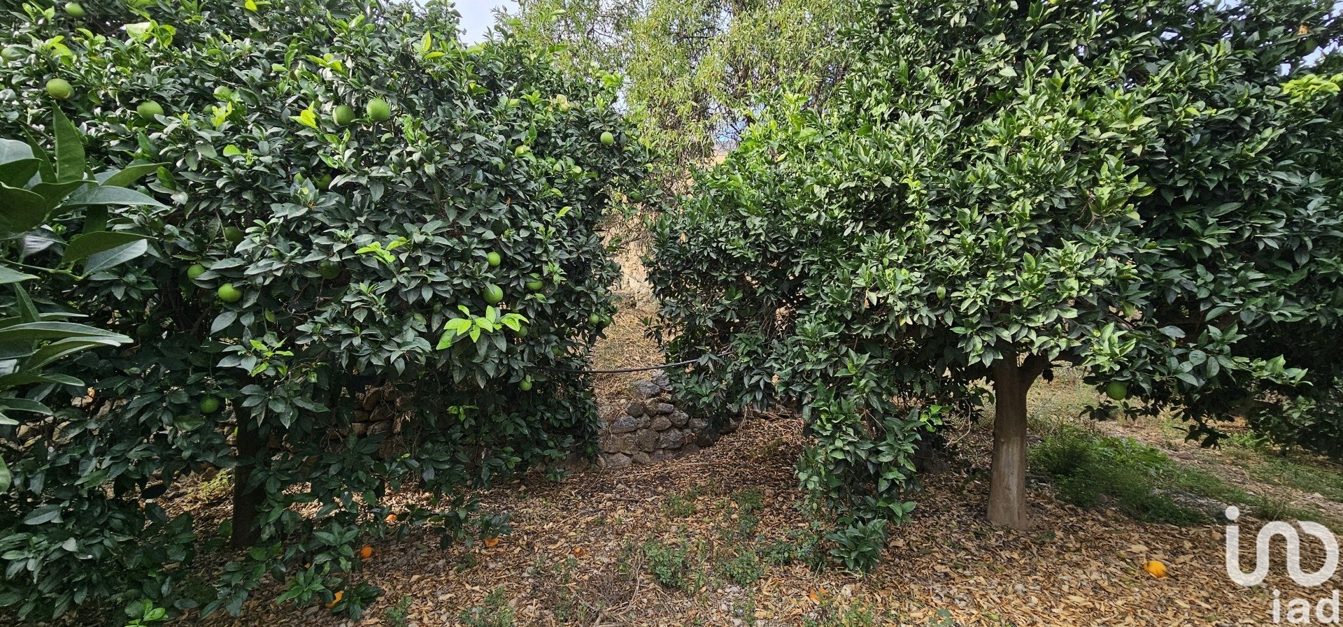 Liikekiinteistö Illar, Almeria, Espanja No. 185671