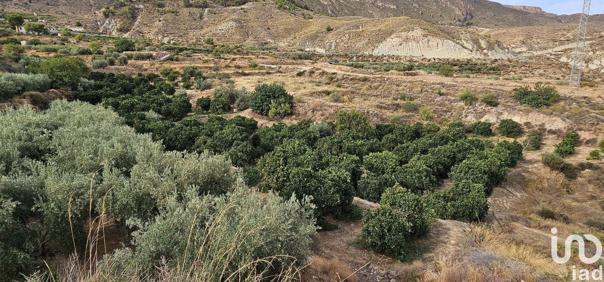 Liikekiinteistö Illar, Almeria, Espanja No. 185671