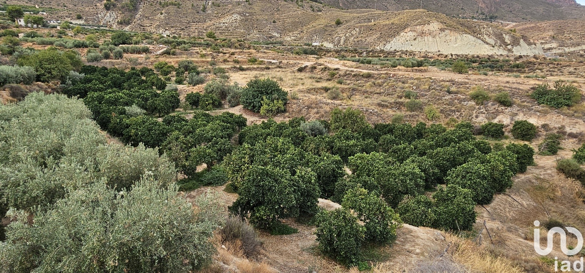 Liikekiinteistö Illar, Almeria, Espanja No. 185671
