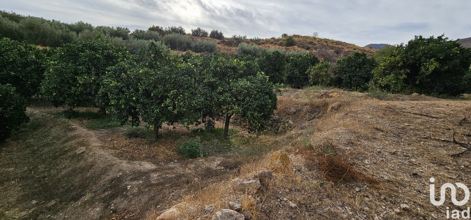 Liikekiinteistö Illar, Almeria, Espanja No. 185671